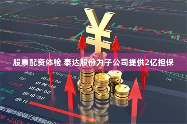 股票配资体验 泰达股份为子公司提供2亿担保