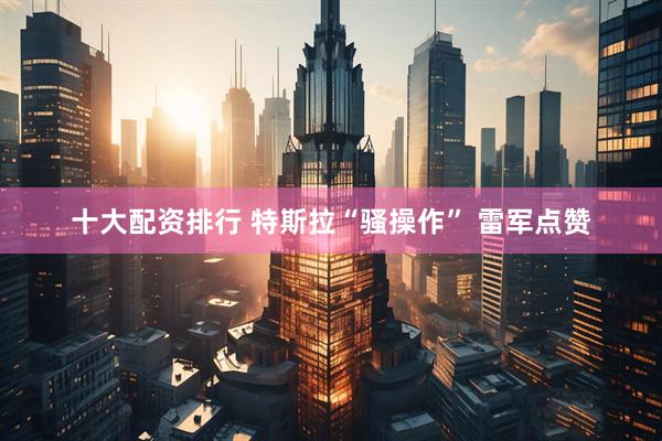 十大配资排行 特斯拉“骚操作” 雷军点赞